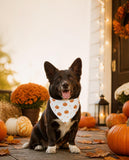 Halloween Pumpkin Clip-On Pet Bandana — Cute Orange Jack-O’-Lantern Pattern for Dogs & Cats